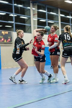 Bild 192 - A-Juniorinnen SG HH Nord - HSG Marne/Brun : Ergebnis: 32:41
